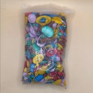 Colorful Decorative Seashells